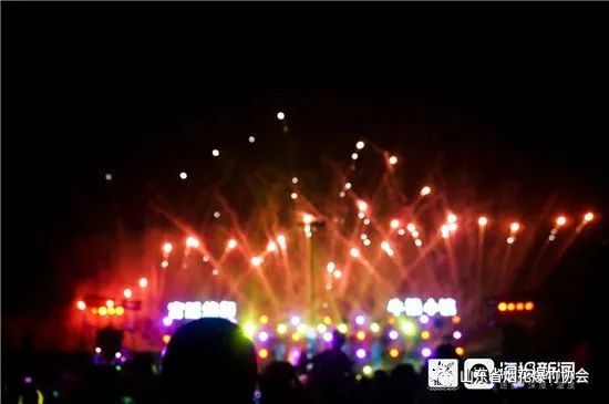 宫廷烟花夜游季在济宁牛楼小镇魅力