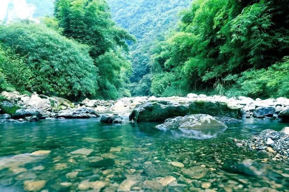 三峡竹海景区被誉为 "三峡地区的天然氧吧",属于国家 aaaa级风景区.