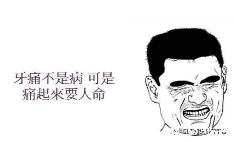牙痛是上火导致的欺骗了多少人