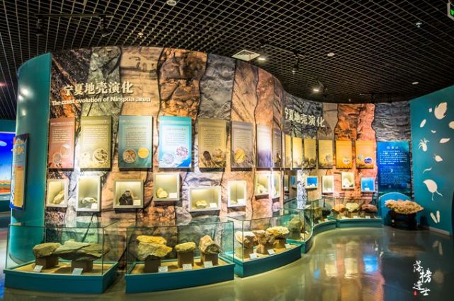 宁夏地质博物馆,藏有众多亿万年前的化石,是亲子研学游的好去处