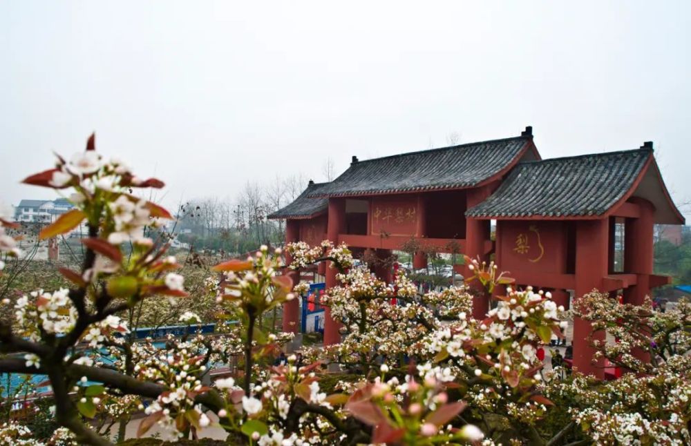 可欣赏森林景观大道中华梨村,桃花源等景点可品尝狩猎场,野猪林等乡村