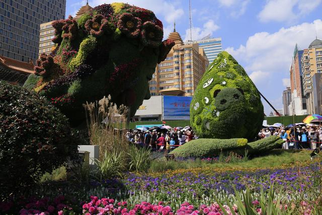 昆明金碧广场的花仙子引发的观看热潮