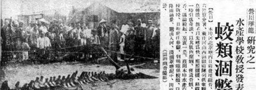 1934年营口坠落的真是龙如果不是那只巨大的生物又是什么