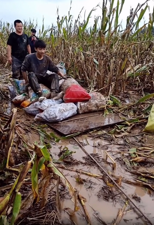 实拍:国庆节期间赶上秋收,多地农民水中收玉米,真的太