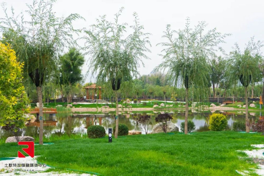 太美了呼和浩特又新建成一座植物园看看在哪儿