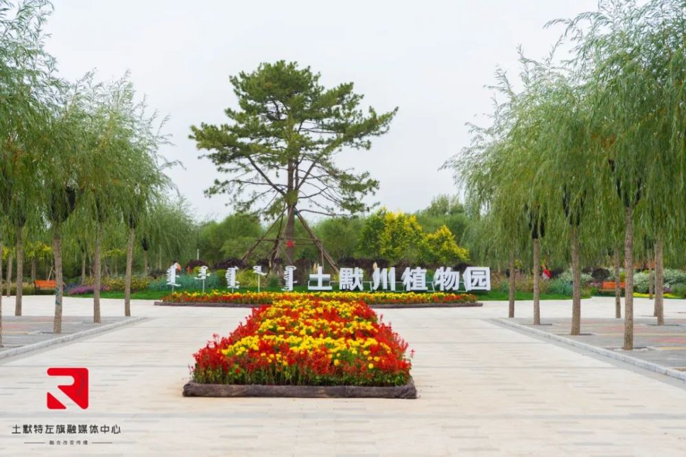 太美了呼和浩特又新建成一座植物园看看在哪儿