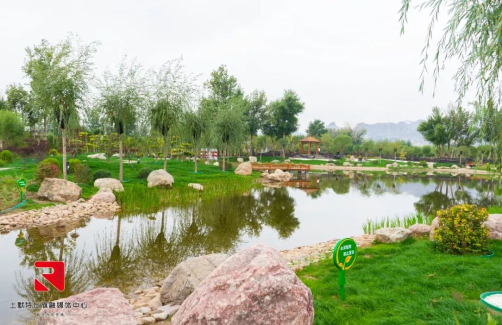太美了呼和浩特又新建成一座植物园看看在哪儿