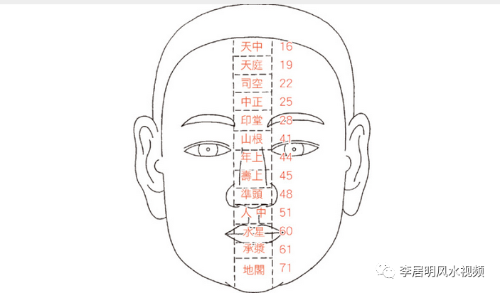 这是指每人面上中间线的位置,男女无异.