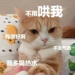 感情淡了我懂我都懂丨表情包