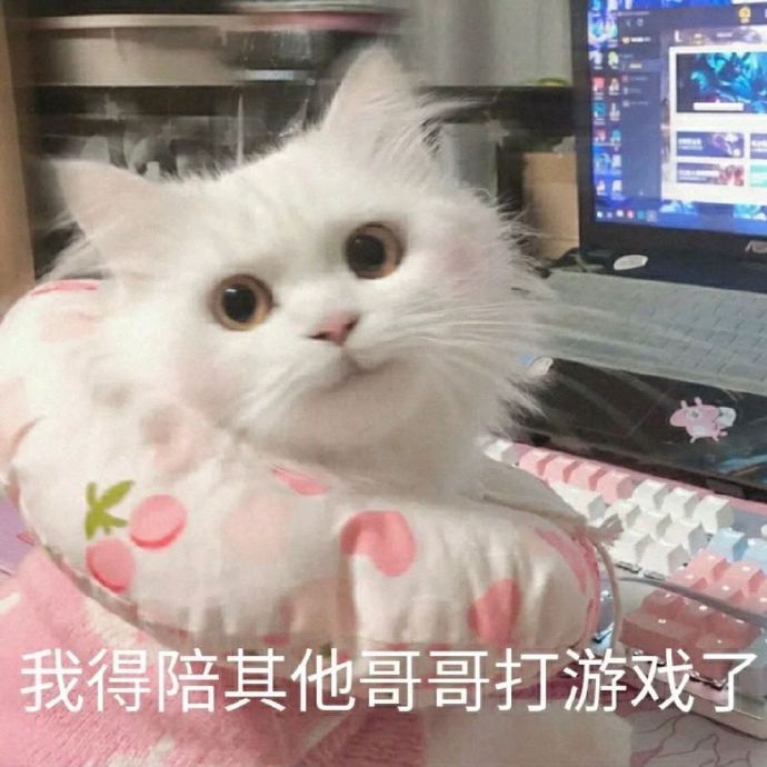 感情淡了我懂我都懂丨表情包