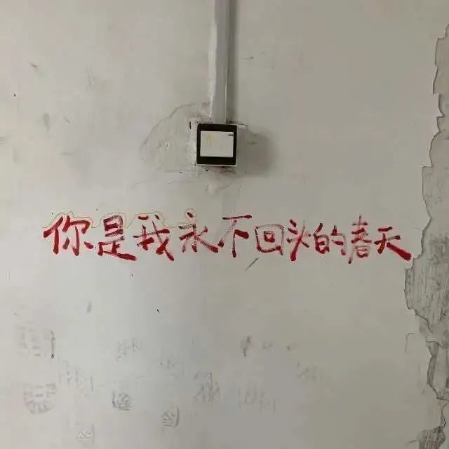 微信朋友圈封面图