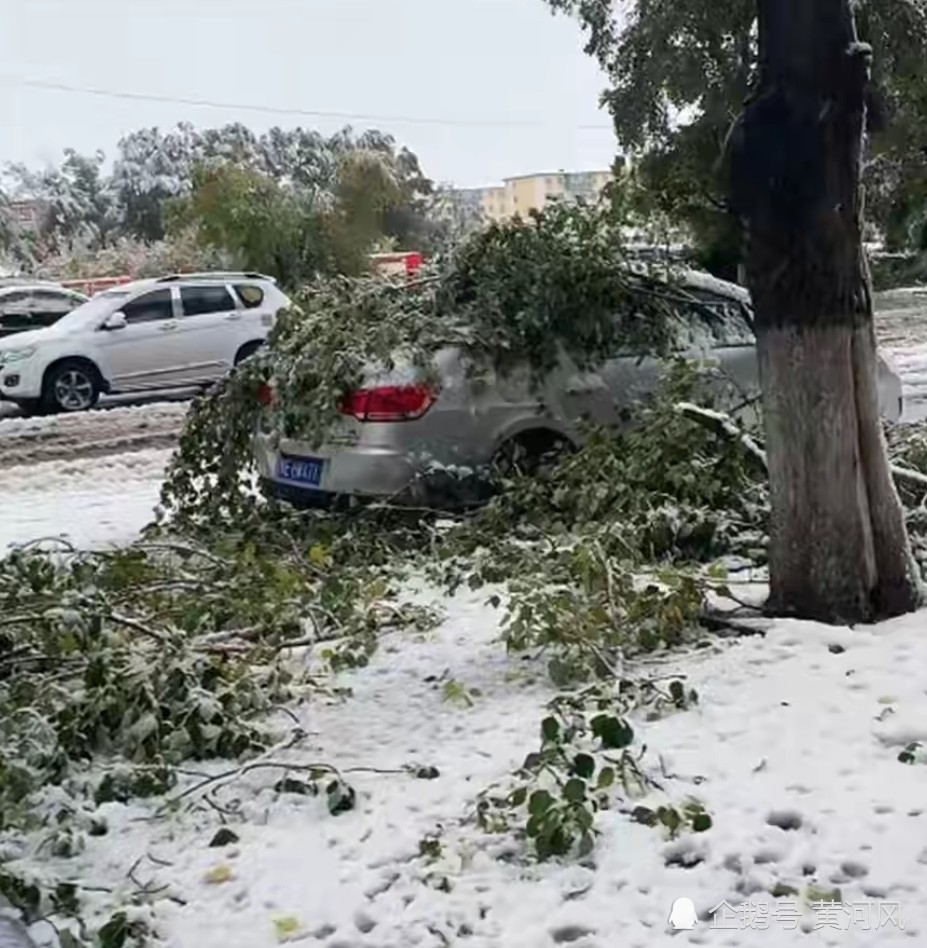 10月3日,内蒙古呼伦贝尔下大雪