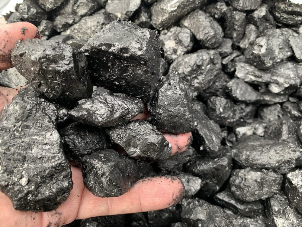 煤炭价格飙升,煤究竟是怎么形成的,未来会枯竭吗?