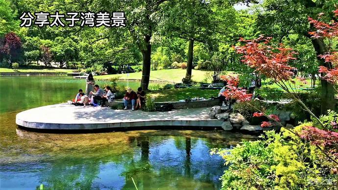 【遇见美好初夏】自驾游杭州太子湾公园:感受浪漫风情和山湾野趣