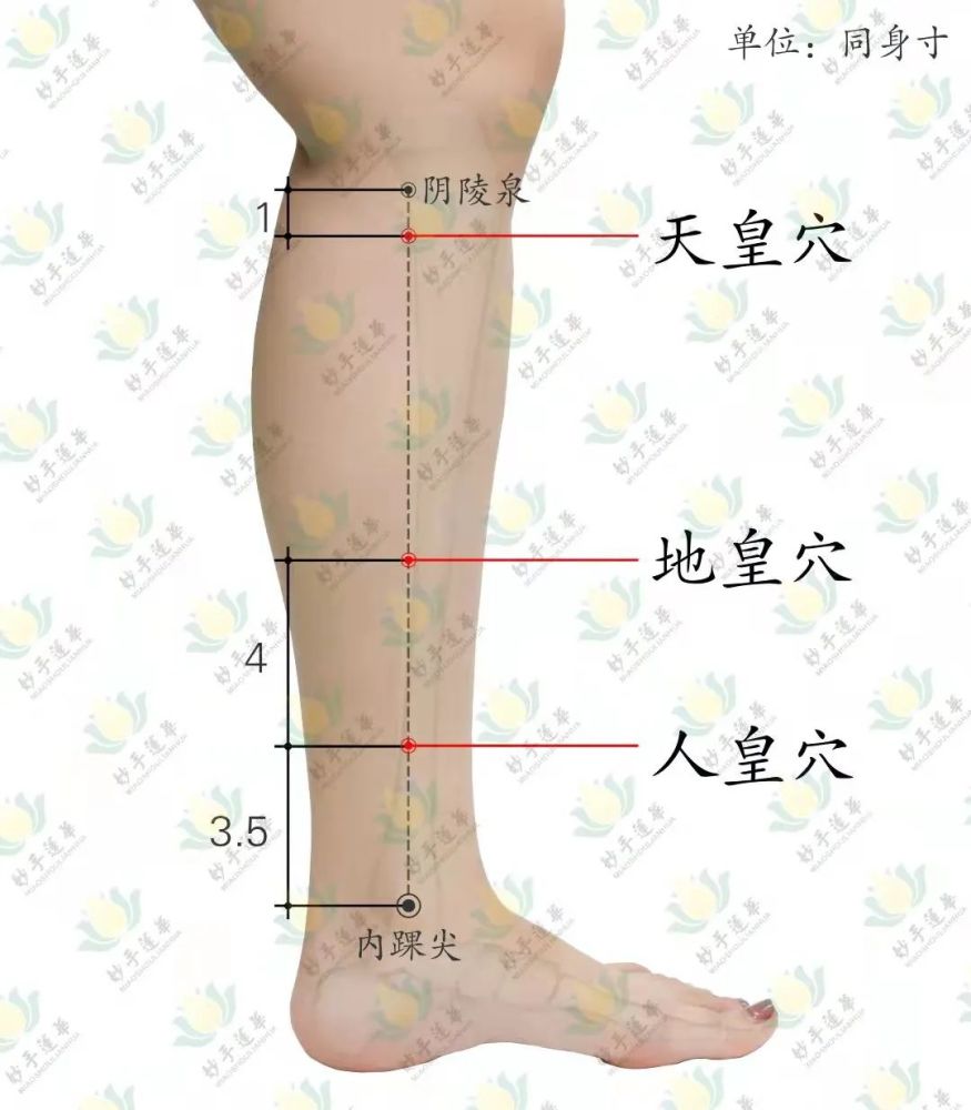 案例:穴位经络调月经,疏肝养肾,益气活血