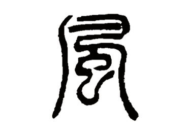 "风,最早见于甲骨文,假借"凤"为"风,本为象形字,像凤鸟高冠修尾之形