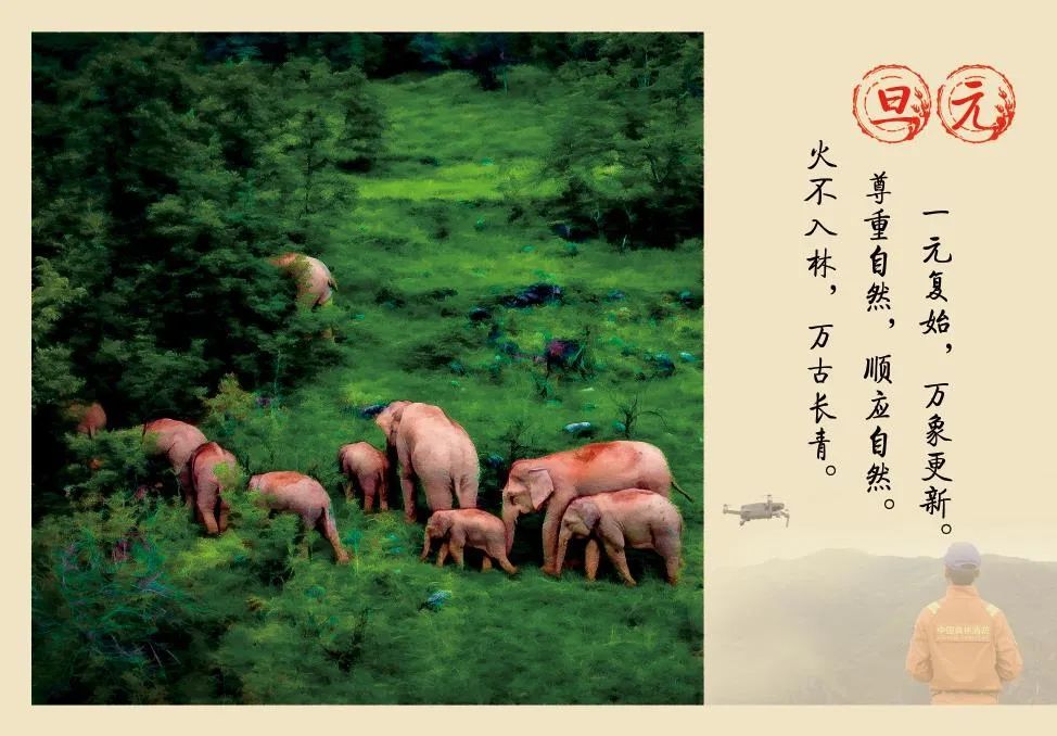 cop15收藏新宠:"守护吉象家园"森林消防主题明信片深受市民喜爱