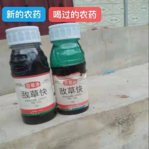13岁女孩喝下百草枯,误喝百草枯,专家建议第一时间喝泥浆水
