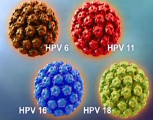 医生:听说过hpv