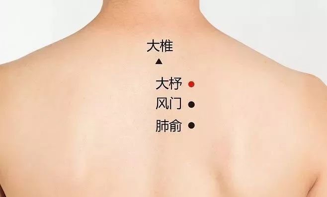 我们还可以艾灸一些宣肺固表的穴位,比如:大椎,风门,肺俞,膏肓,肾俞等