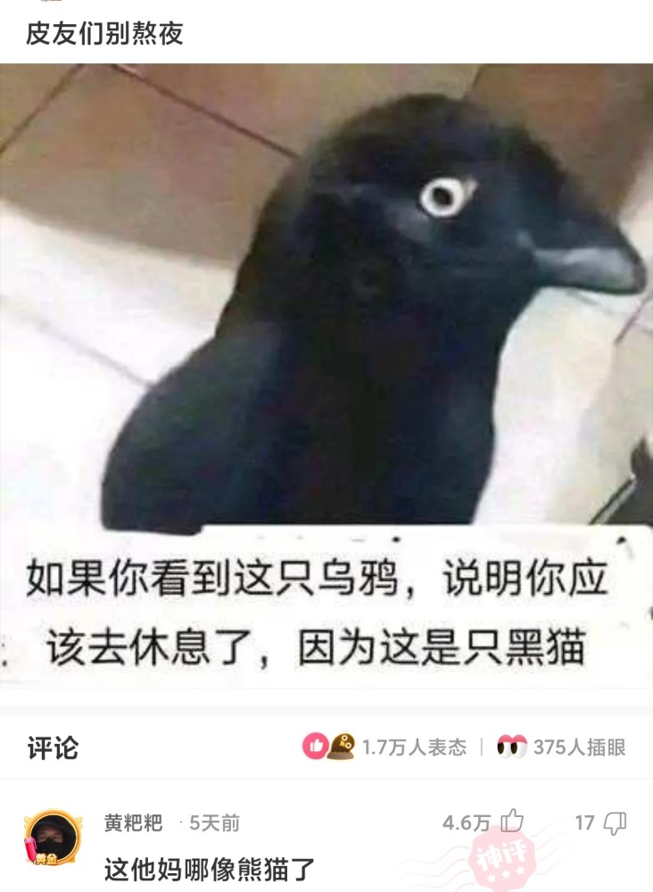 沙雕问题喜欢的女生发来的这是什么意思啊