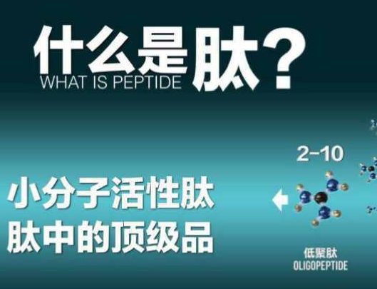 首先,很多人不明白为什么科学家建议我们补充蛋白质,看看下面就知道