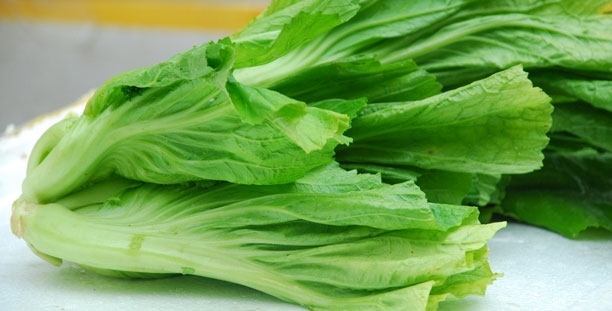 聚焦芥菜下高速被收费事件:对最基本的常识我们不应