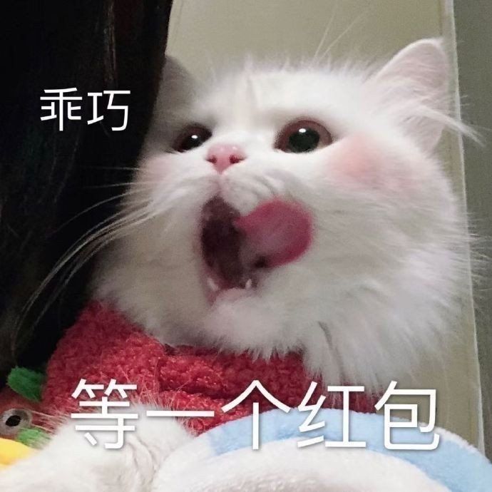 表情包谁能拒绝可爱的小猫咪呢