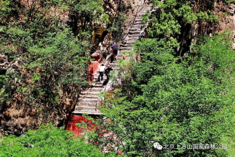 北京上方山国家森林公园北京上方山国家森林公园也发布了闭园公告