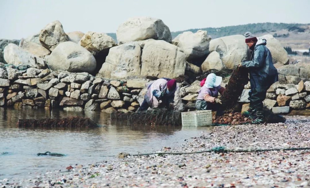 海水起潮是什么原理_西沙群岛海水图片(3)