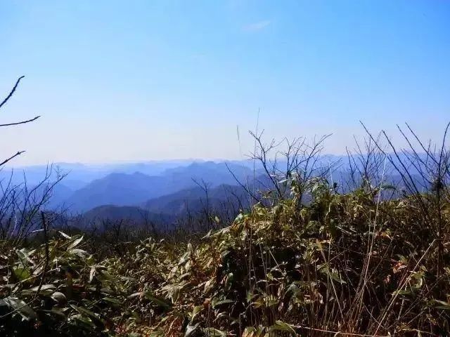 地址:诸暨市东白湖镇东白山,海拔1194.6米,浙东第一高峰.