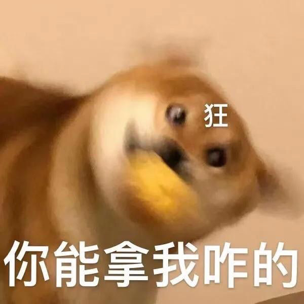 沙雕表情包给我收下