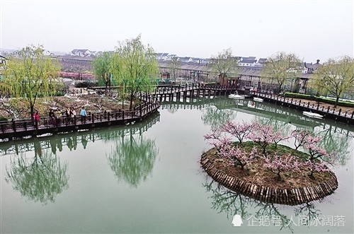 上海金山有什么好玩的?