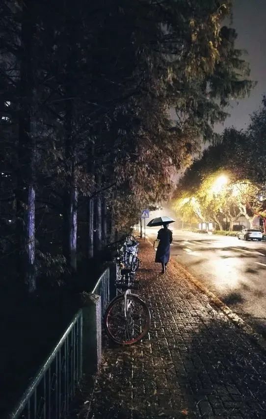 秋夜随笔文/杜晓勇今夜细雨绵绵不断犹如我伤感的心情一样聆听雨滴