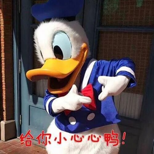表情包:正能量鸭!爱你呀
