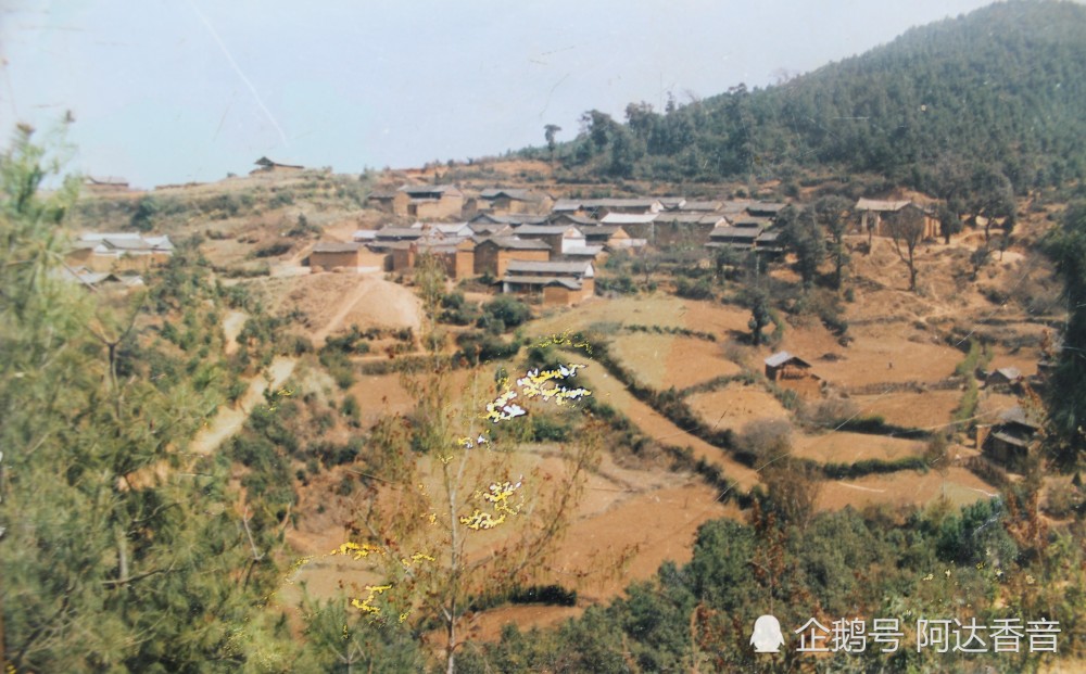 杨柳村_始祖开村和村名渊源(云南宾川杨柳村)