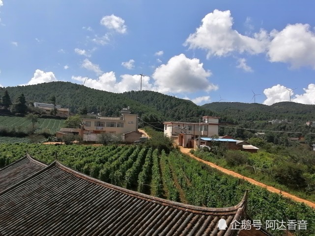 杨柳村_始祖开村和村名渊源(云南宾川杨柳村)