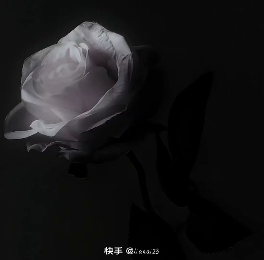 小众唯美背景图(黑色系列)