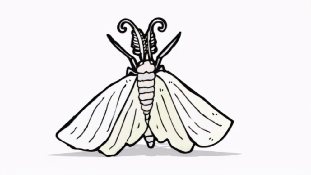 白蛾周氏啮小蜂是保护庄稼植物的小能手