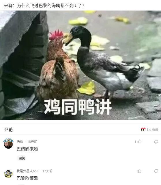 【沙雕问题1】为什么飞过巴黎的海鸥都不会叫了?