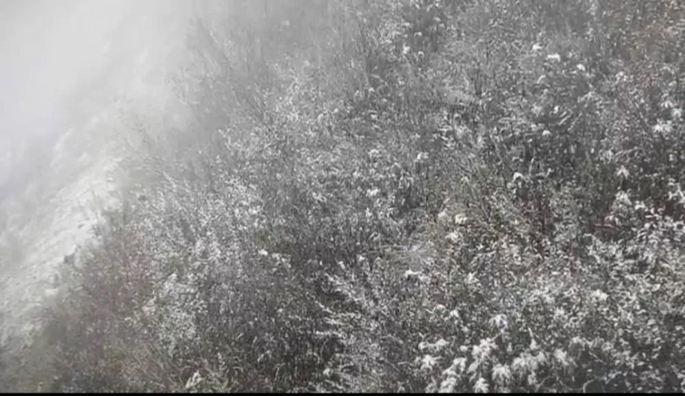 美!北京这些地方下雪了