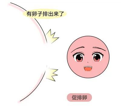 南昌华儿山医院科普:备孕不排卵怎么办?