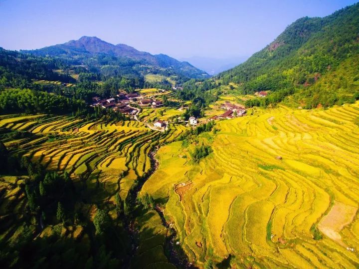 丽水景宁 郑坑梯田