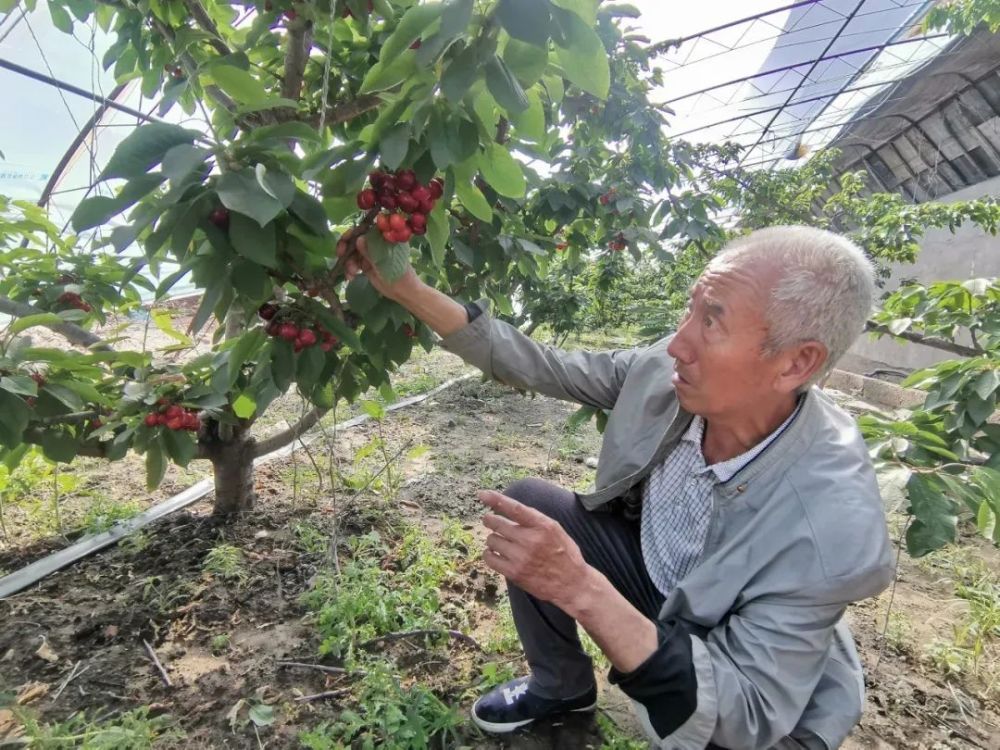 郭金奎:我这个技术是成熟的,咱们就辐射带动的两个区,乌达区和海勃湾