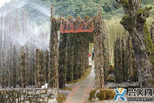 打柴山:丰富旅游新业态 乡村旅游受青睐【兴义融媒】