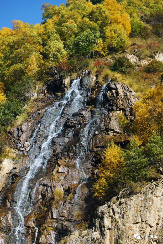 湟源大黑沟森林公园秋景