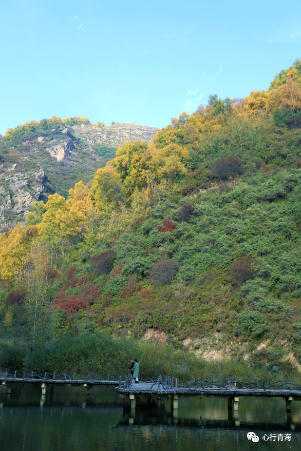 湟源大黑沟森林公园秋景