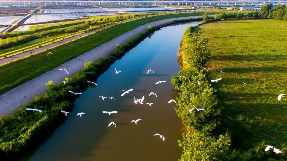 南京旅游:滁河风光带