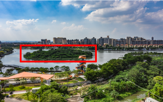 "金秋水韵·寻梦龙湾"万江龙湾岛摄影