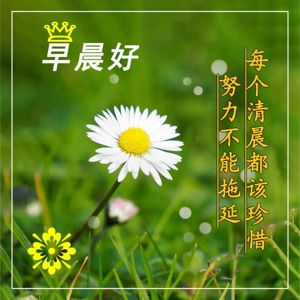 秋天的早晨问候句子 超温馨早上好幸福祝福语短信句子